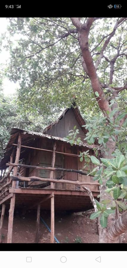 Tree Lodge Banlung Eksteriør bilde