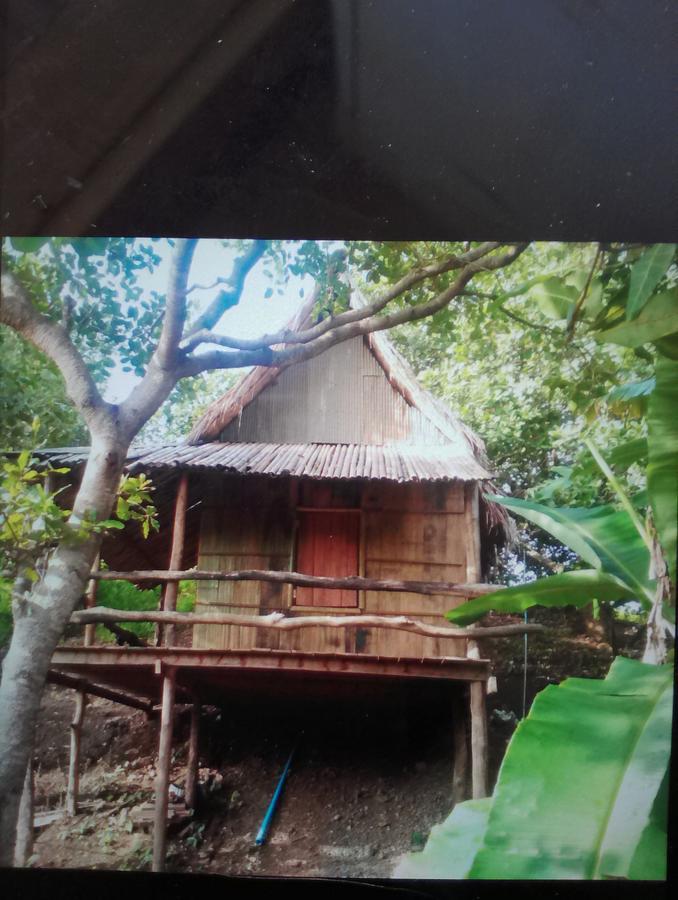 Tree Lodge Banlung Eksteriør bilde