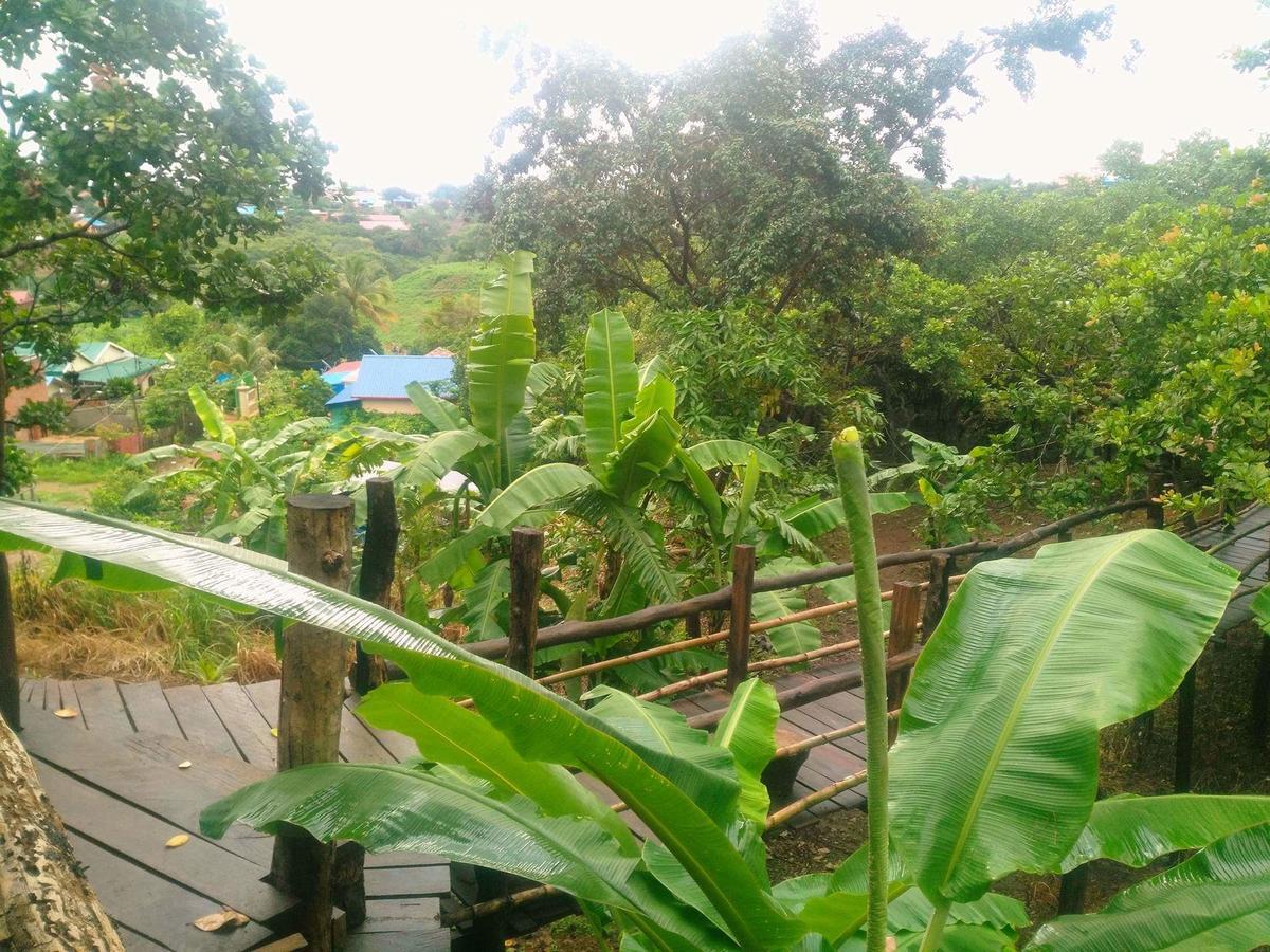 Tree Lodge Banlung Eksteriør bilde