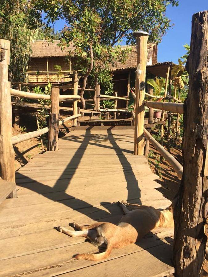 Tree Lodge Banlung Eksteriør bilde