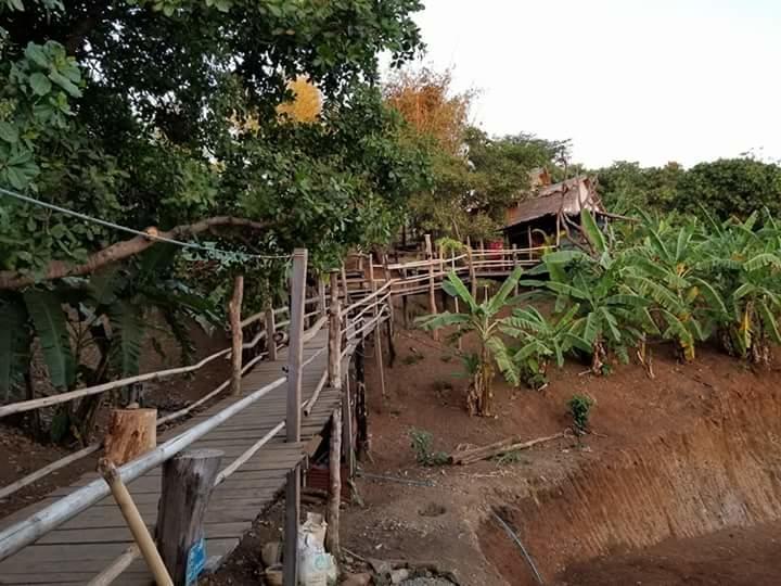 Tree Lodge Banlung Eksteriør bilde