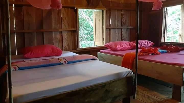 Tree Lodge Banlung Eksteriør bilde