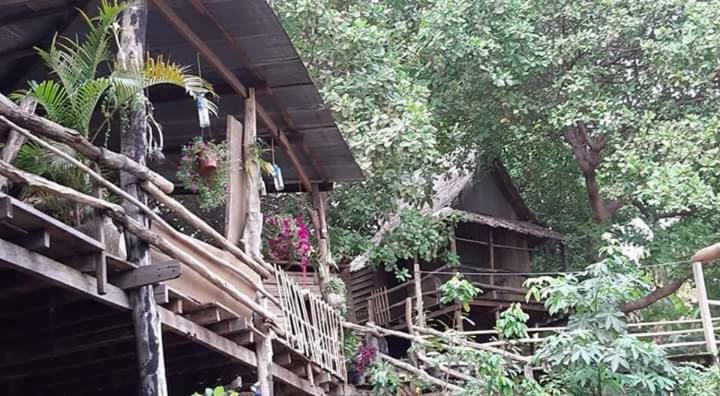 Tree Lodge Banlung Eksteriør bilde