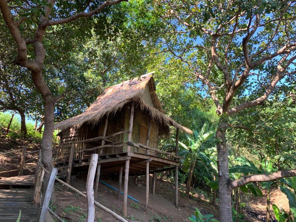 Tree Lodge Banlung Eksteriør bilde